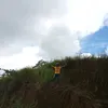 edriannamingit