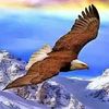 user90498577112982