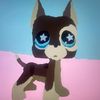 lps_stuff_1