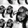 nippis_s