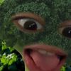 _hamsalakalkasiming_