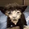 jas0n.xyz