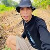 Sinar kicau