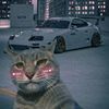 alowkjr0