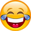 user2291942732903