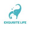 Exquisite Life Store1