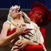 ladygagaglavakartela