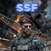 ssf_2010