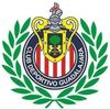 carlos.viramontes62