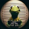 silly_goose076
