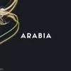 arabia684