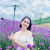 Hồng Candy Vinhomes Oceanpark