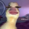 thiee319