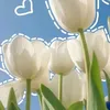 lwiuy_3456