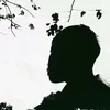 toanvodanh_