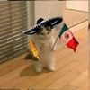 michimexicano3