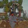 s.ali769