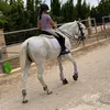 andreaa6_49