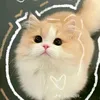 toanenjoy