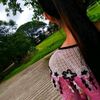 thazin.htet4445