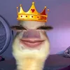 nelleqtxd