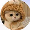 user7141204105617