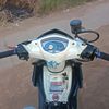 naarmxoldckp
