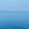 nawfalnekkache3