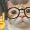 anna_livia120