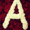 user94530618107