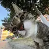 góc sân và khoảng trời