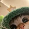 emerald_i117