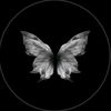 butterfly08768