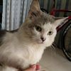 srisusilwati7