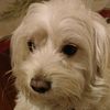 george_7939