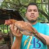 ilibolivarcols