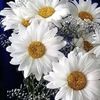 user84081992851762