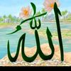 user6057497617170