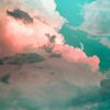 nrxedit5