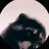 mouuim7