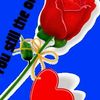 sherisha.pro.256