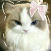 karen.but.cute