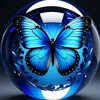 kiko_maravilhoso2