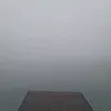 lisi_353