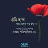 user44709154951347