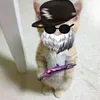 rlk_vandi244