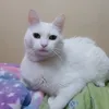 aaaassdhhhhhaaaaassss
