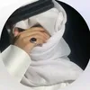 my_ali49