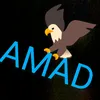 amad.barwari52