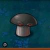 mushroom_destiny1